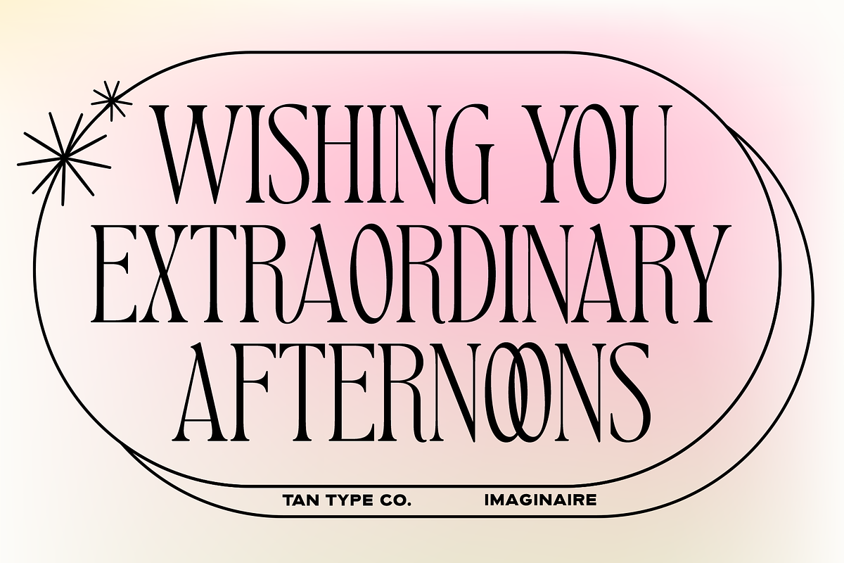 TAN - IMAGINAIRE, a Serif Font by TanType (Photo 2 of 12)