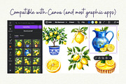 Mediterranean Lemon Clipart, an Object Graphic by Anna Design Studio (Thumbnail 8 of 9)