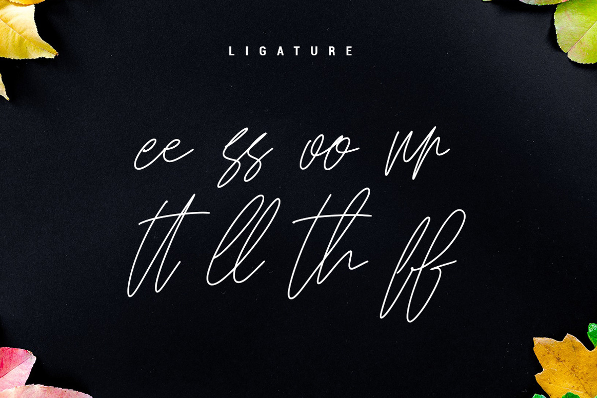 Kathilass - Signature Font, a Script Font by skiiller studio (Photo 8 of 10)