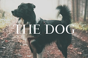 Wacian Serif Font Family, a Serif Font by Creativetacos (Thumbnail 9 of 9)