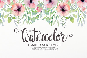 Watercolor floral design elements