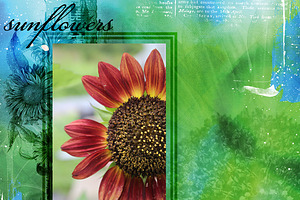 Flora Edge Brush For PS/PRO