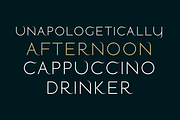 Stamford font family, a Sans Serif Font by LostandFoundry (Thumbnail 7 of 11)
