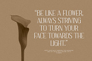 Hosline Modern Serif Font, a Serif Font by Perfectype (Thumbnail 5 of 10)
