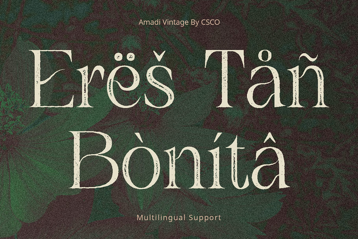 Amadi Vintage, a Serif Font by Craft Supply Co. (Photo 3 of 8)