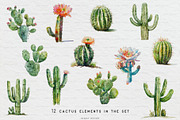 Watercolor Cactus Set, an Object Illustration by BirDIY Design (Thumbnail 3 of 6)