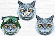 Portraits of British Shorthair cat, an Animal Illustration by Watercolor fantasy (Thumbnail 5 of 6)