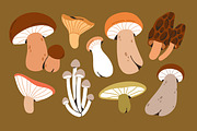 Autumn mushrooms, forest fungi set, a Food Illustration by Good Studio (Thumbnail 5 of 6)