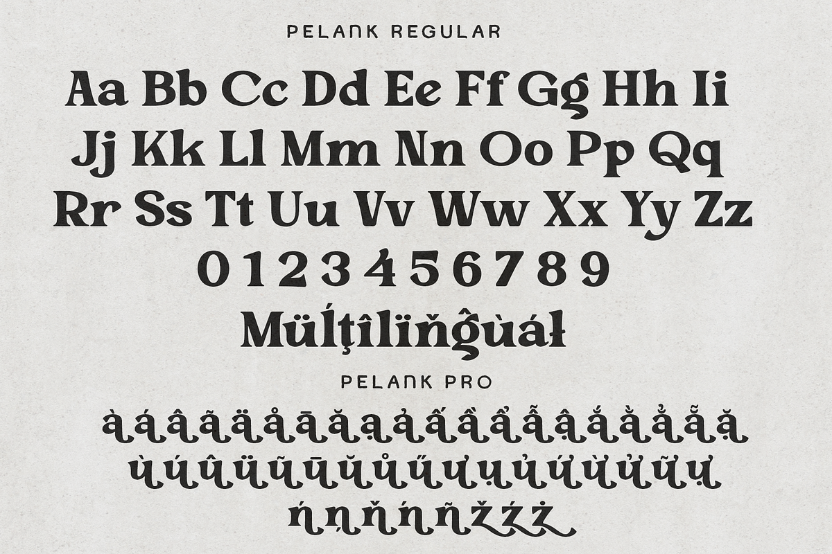 Pelank – Serif Font, a Serif Font by NDNL Studio (Photo 8 of 11)