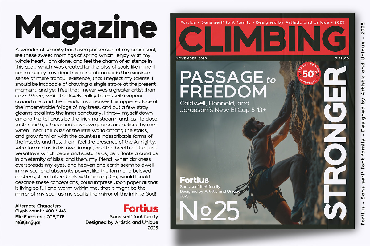Fortius - Sans serif font family, a Sans Serif Font by Artistic & Unique (Photo 9 of 15)
