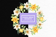 Watercolor Daffodils Set, an Object Graphic by Kotulska (Thumbnail 3 of 3)