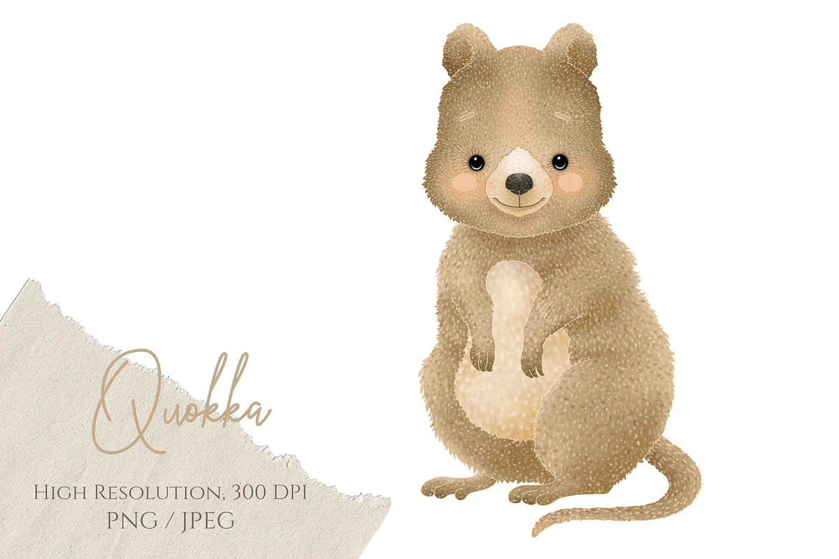Australian Animals Vol II, an Animal Illustration by Jen Digital Art (Photo 6 of 8)