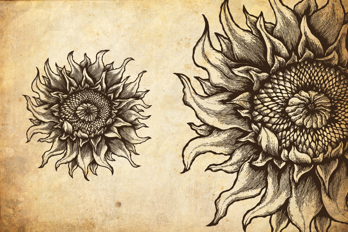 Codex Fortius Infinitum Engraving, an Illustration by TSV Creative (Photo 4 of 5)