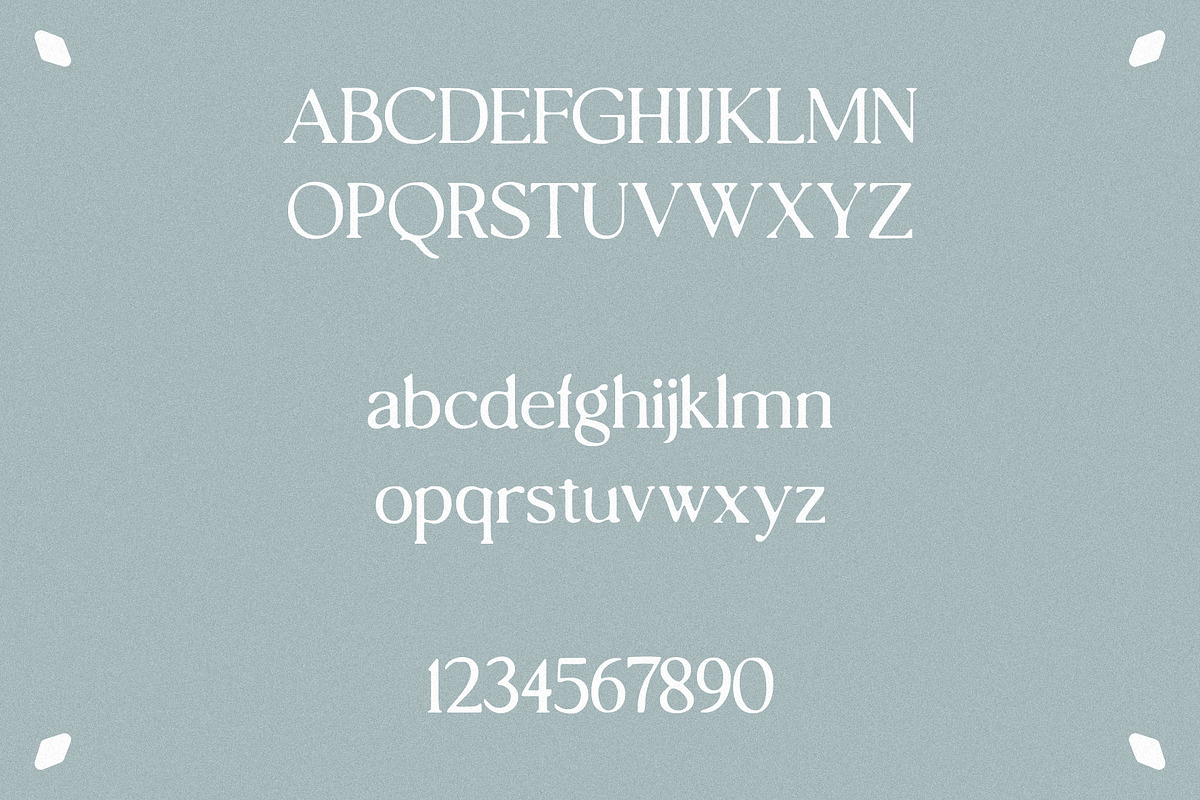 hawk sight - vintage serif, a Serif Font by Mikhail Fukurou (Photo 7 of 8)