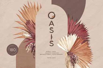 OASIS Gouache shapes & dried leaves