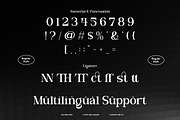 Valloria - Family Serif Font, a Serif Font by Flawless And Co (Thumbnail 10 of 10)
