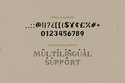 Fierce Pirates - Rugged Serif Font, a Serif Font by Imoodev (Thumbnail 7 of 7)