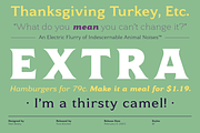 Toffee - Flared Serif Font Family, a Serif Font by Font Kitchen (Thumbnail 9 of 12)