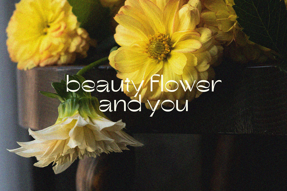 Minangsteng Sans Display, a Sans Serif Font by Violet Natural (Photo 4 of 11)