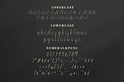 Olleta Script Fonts, a Script Font by mahstudios (Thumbnail 12 of 15)