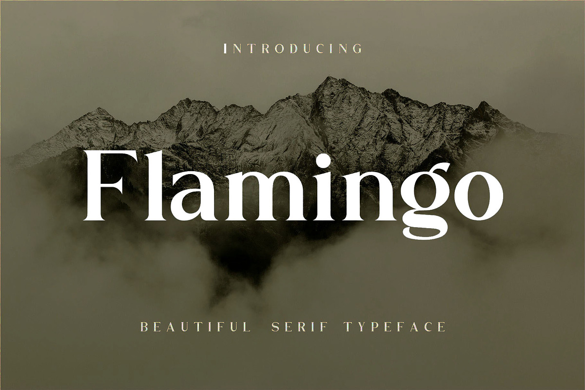 Flamingo