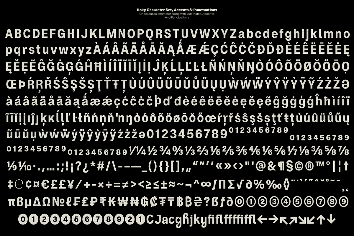 ZT Hoky Geometric - 54 Fonts, a Sans Serif Font by zelow type (Photo 13 of 15)