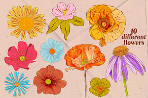 Retro Wildflowers - Bold Flowers