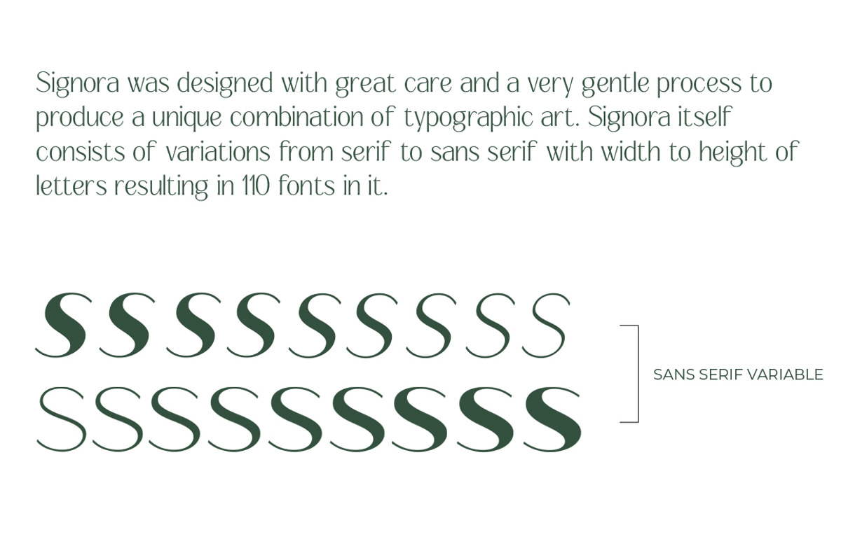 Signora | Sans Serif Family, a Sans Serif Font by Black Studio (Photo 5 of 11)