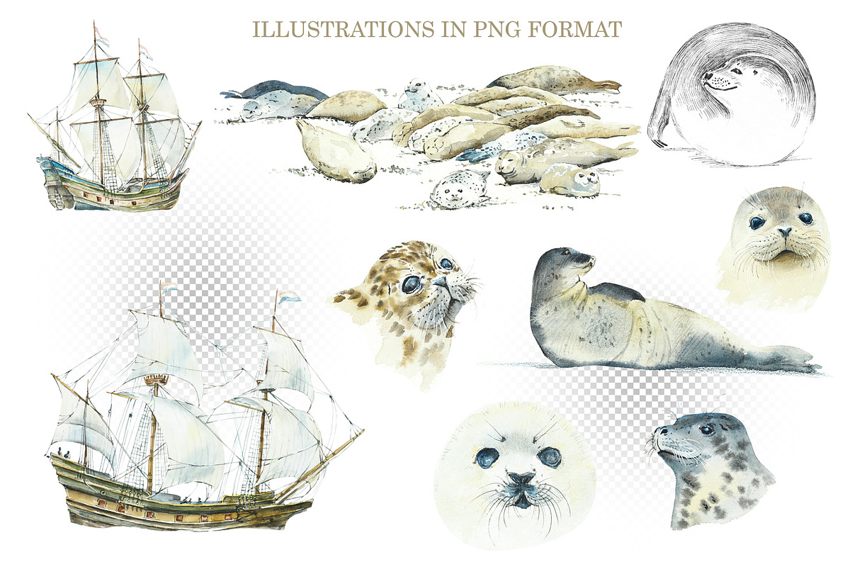 Watercolor Oceans, an Animal Illustration by Budogoshch (Photo 6 of 11)