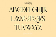 MOONEYES - Modern Serif, a Serif Font by erlosDESIGN (Thumbnail 11 of 15)