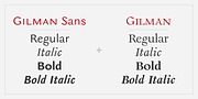 Gilman Sans, a Sans Serif Font by Miller Type Foundry (Thumbnail 5 of 5)