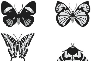 Butterfly Outlines Set 5 Procreate