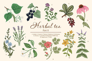 Herbal Tea. Part II