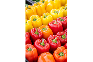 Colorful bell peppers in rows, a Food & Drink Photo by Lermont51