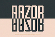 Stone - Condensed Font, a Script Font by Alpaprana (Thumbnail 3 of 9)