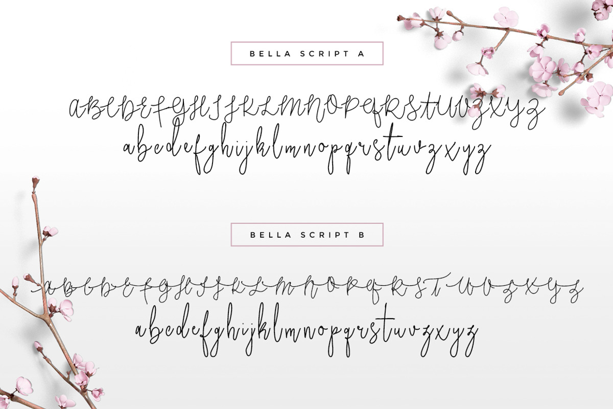 Wonderland Fonts Pack & Branding Kit, a Script Font by Graphicdome (Photo 73 of 118)