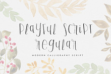 Playful Script Regular