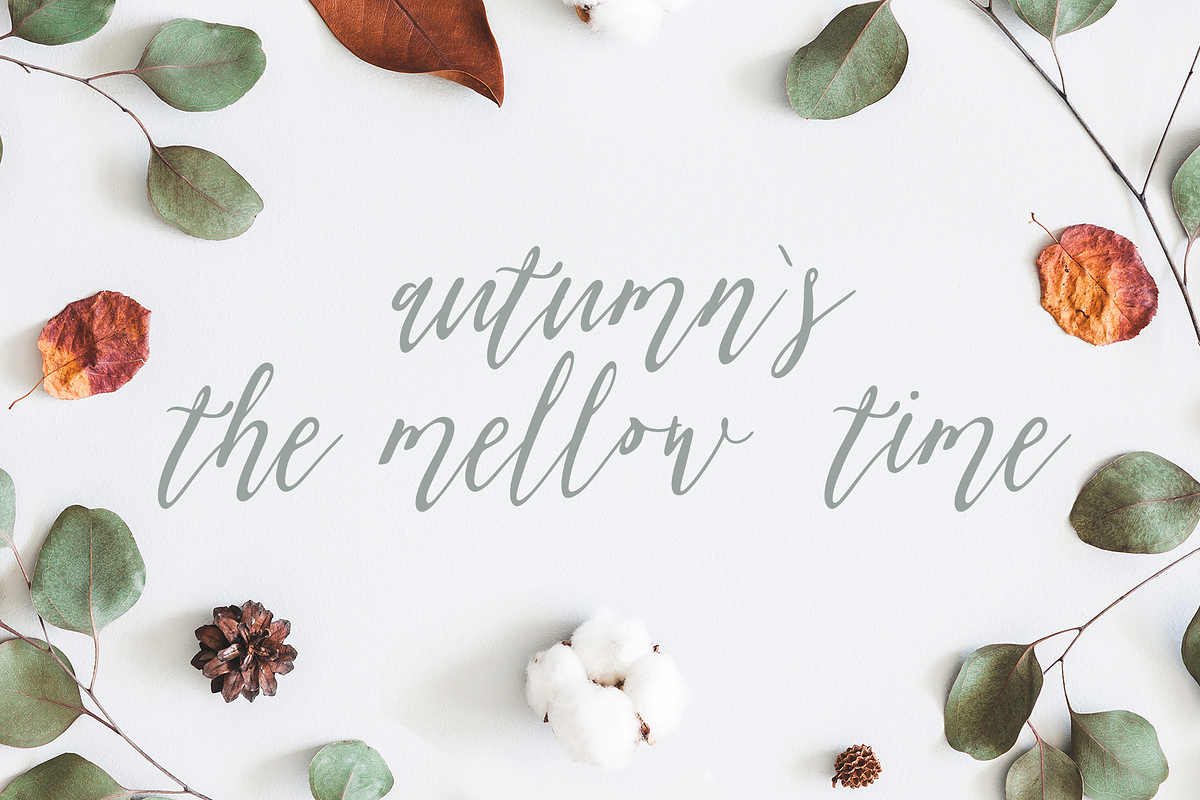 Olis — handmade font family preview 2