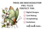 Whimsical Spring Butterfly Clipart, an Illustration by OK Design (Thumbnail 4 of 6)