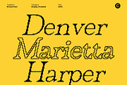 Rivania Pixel, a Serif Font by Craft Supply Co. (Thumbnail 5 of 8)