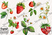 Watercolor Strawberry Clipart Berry, a Food Illustration by TanuschArts (Thumbnail 2 of 4)