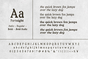 Fortnight - Handwritten Serif Family