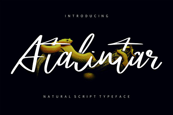 Atalintar Natural Script Typeface