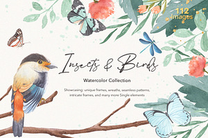 Insects & Birds Watercolor Set