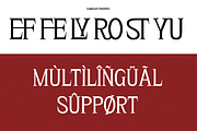 Rolynx- 8 font family, a Serif Font by Madjack.font (Thumbnail 11 of 11)