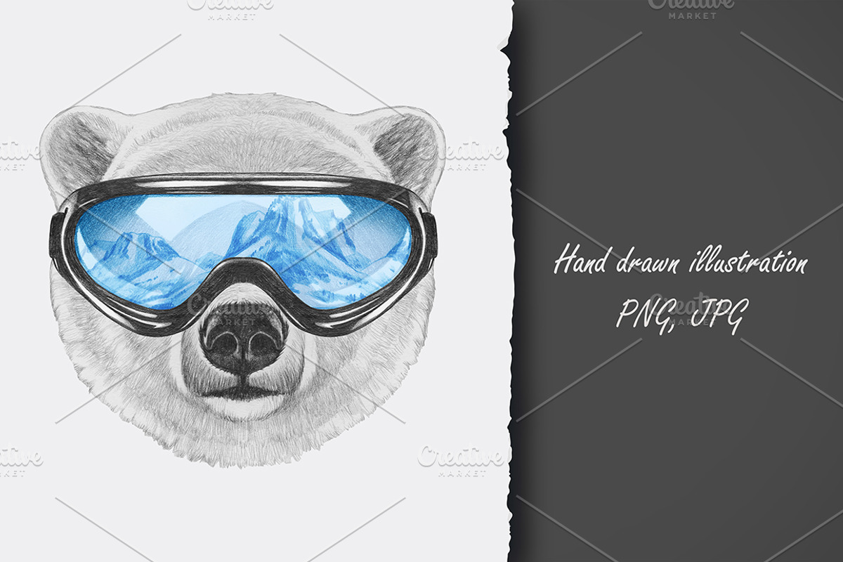 Polar Bear / Winter, an Animal Illustration by Victoria_Novak (Photo 3 of 3)