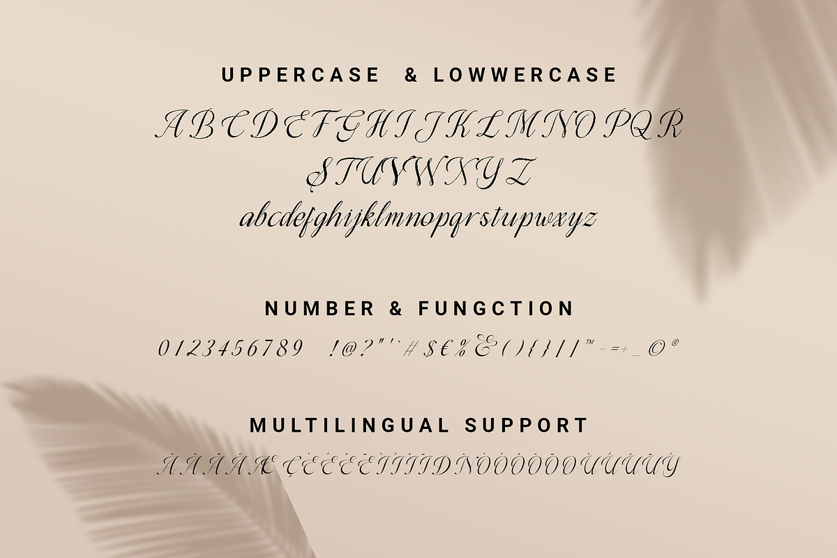 Airalia - Modern Calligraphy Font, a Script Font by RHD Creative Studio (Photo 11 of 11)