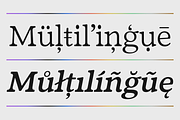 Fedro - 14 Fonts, a Serif Font by Nasir Udin (Thumbnail 7 of 20)