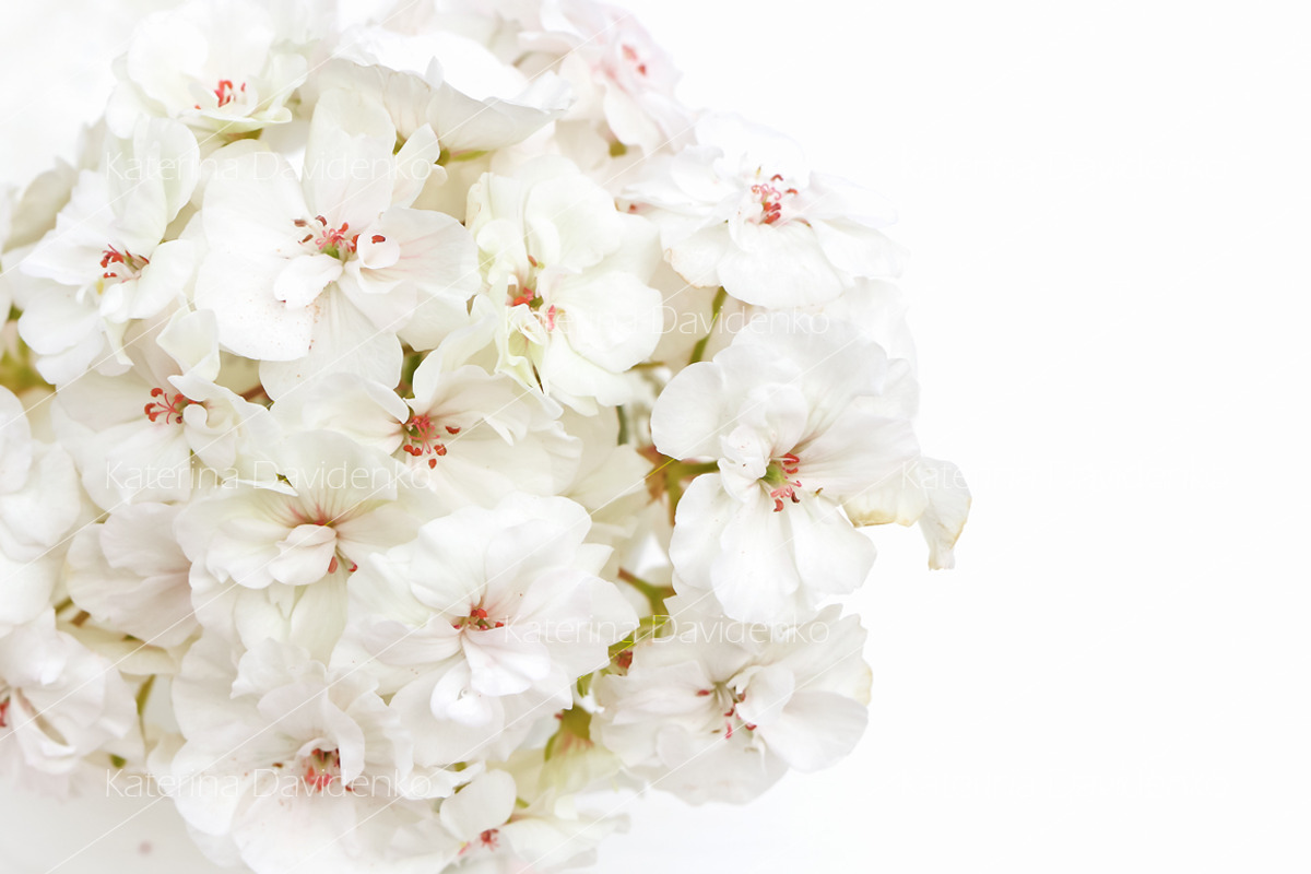 Styled photos bundle, a Background Photo by Bubert Art (Photo 6 of 12)