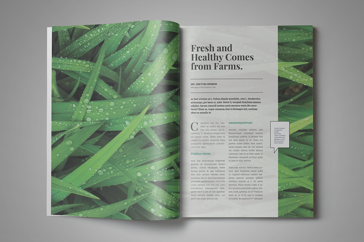 Indesign Magazine Template #6, a Magazine Template by spidergraph (Photo 7 of 12)